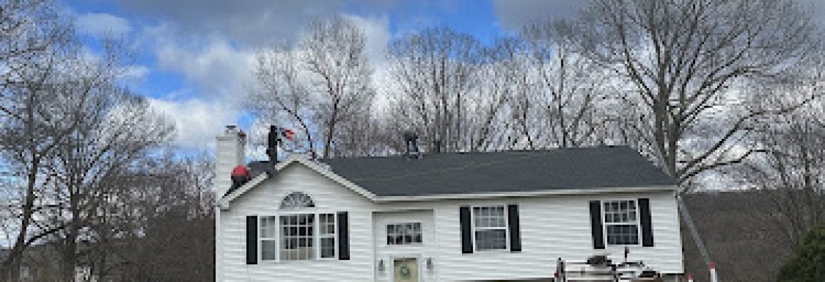 Lcm Services Llc