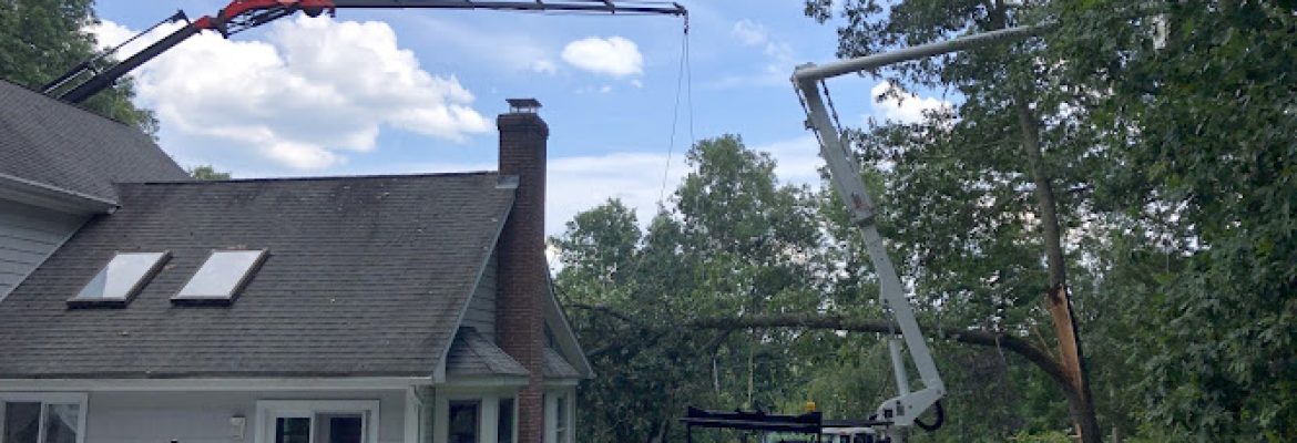 Green Valley Tree LLC