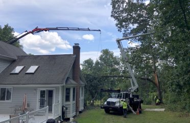 Green Valley Tree LLC