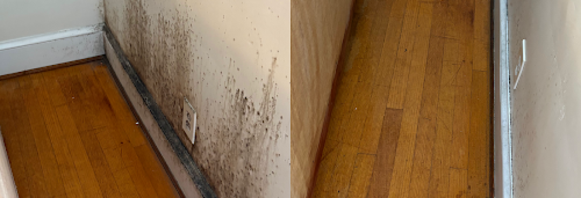 D&S house cleaning services