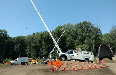 Distinctive Tree Care