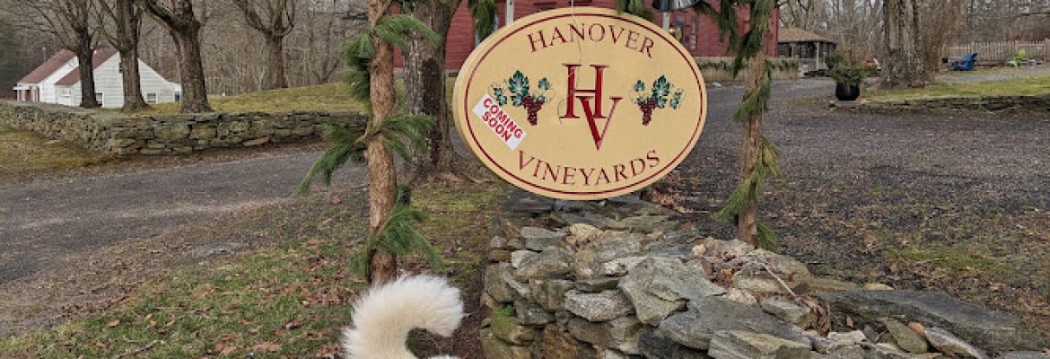 Hanover Vineyards