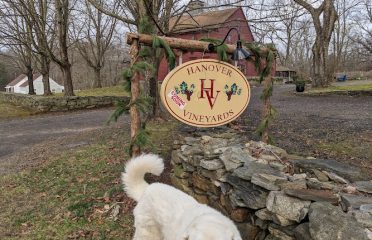 Hanover Vineyards