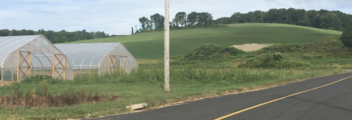 Mitchell Farm