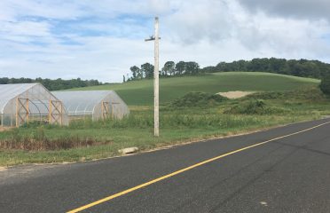 Mitchell Farm