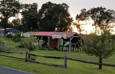 Irish Bend Orchard