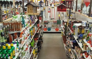 Country Lumber