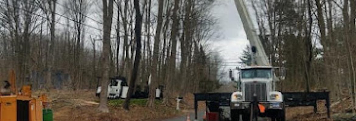 Advanced Tree Removal LLC