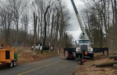 Advanced Tree Removal LLC