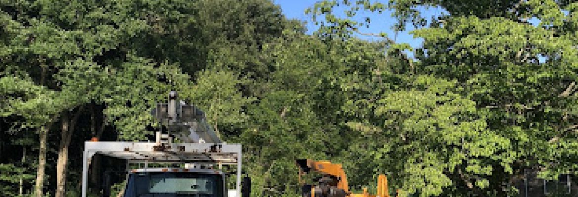 Howard Tree Service
