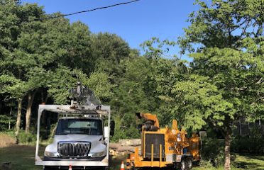 Howard Tree Service