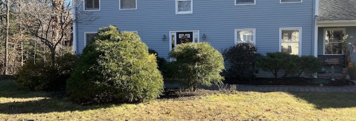 Pigan Landscaping & Excavation