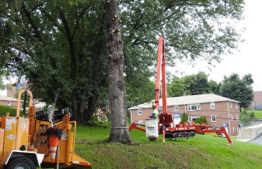 Paulo Landscaping & Tree Removal, LLC.