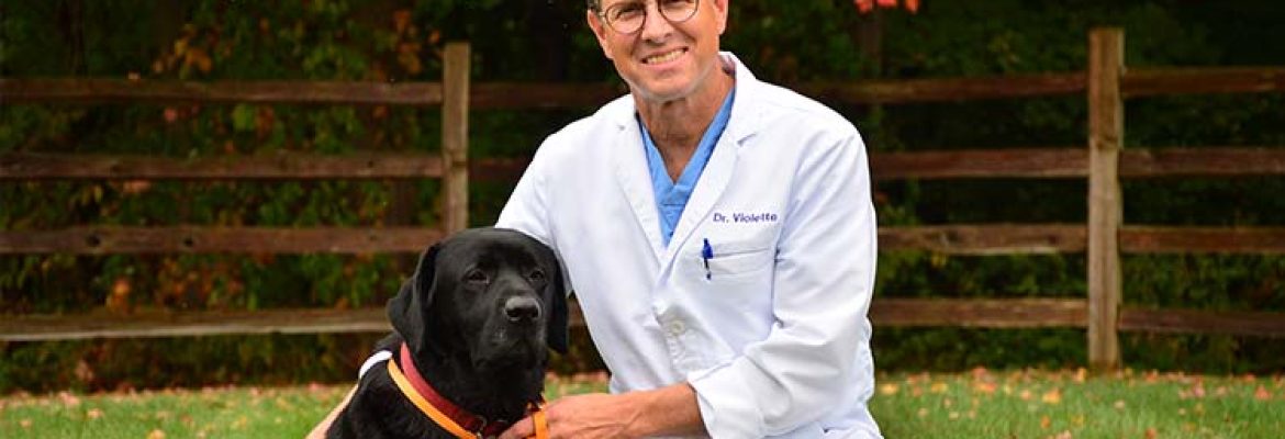 Salmon Brook Veterinary Hospital
