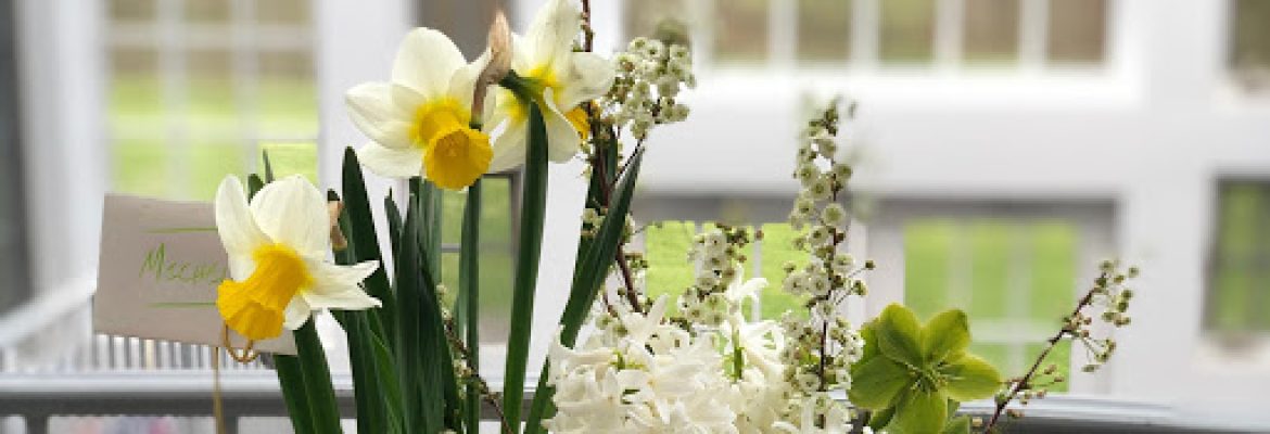 Everything Botanical llc