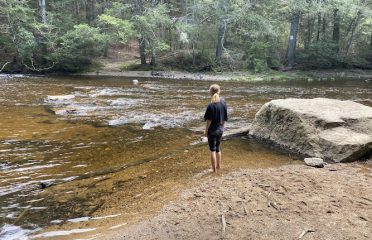 Salmon River State Forest
