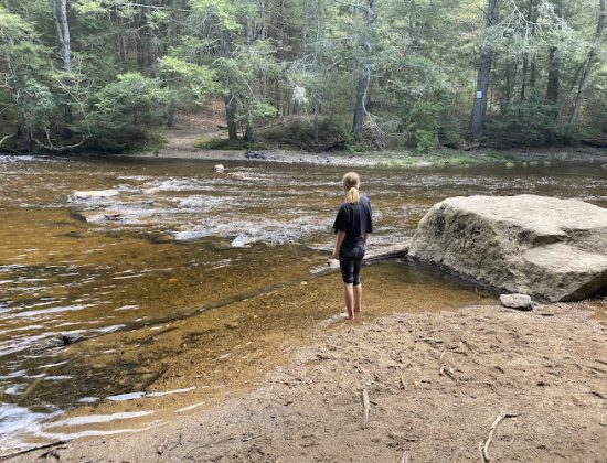 Salmon River State Forest