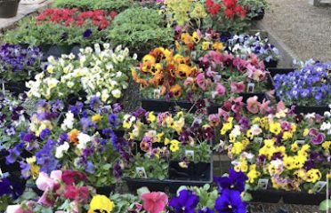 Arce Gardens Center & Nursery