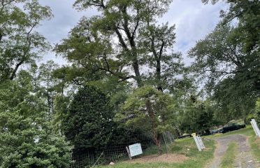 Kennedy Nursery Inc