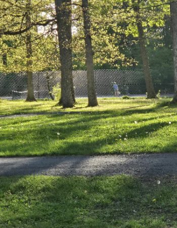 Tennis Courts