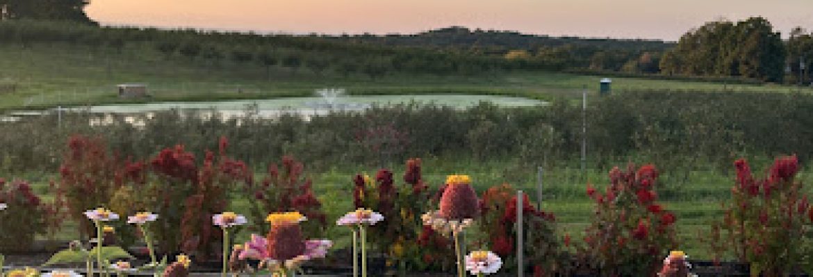 7 Acres Farm