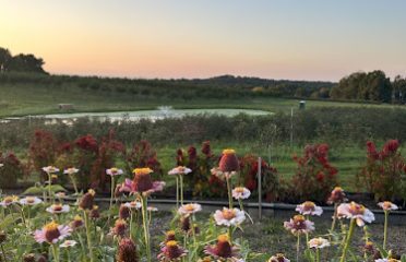 7 Acres Farm