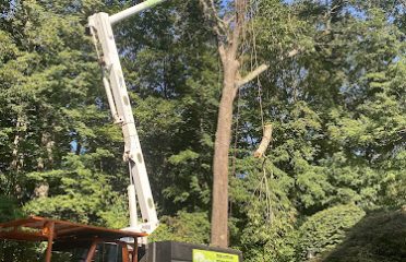 Claudio Tree Work and Landscaping LLC