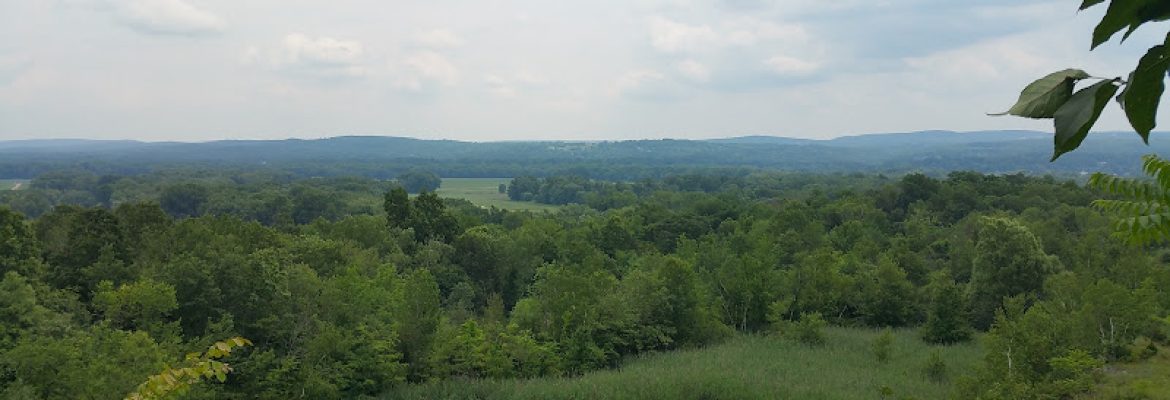Quarry Park