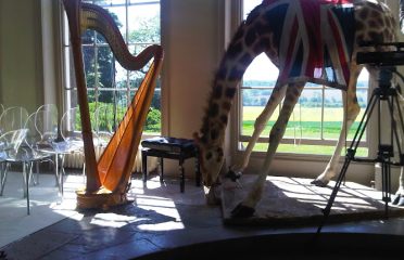 Sarah Goss Harpist