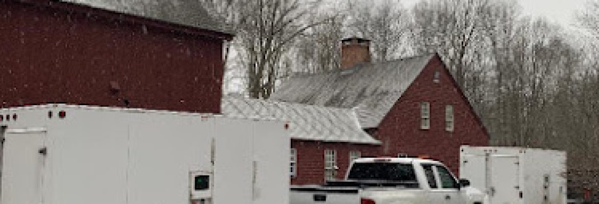 Bed Bug Busters By Ellington Management LLC