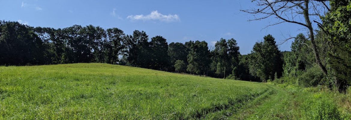 Phillips-Lovdal Farm Preserve