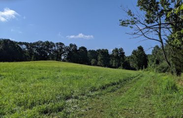 Phillips-Lovdal Farm Preserve