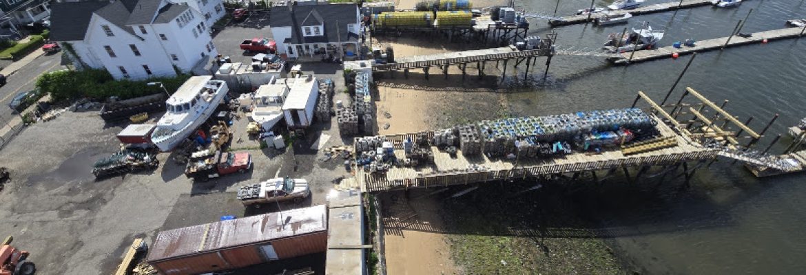 H & H Seafood LLC