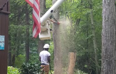 Gentile Tree Care, LLC
