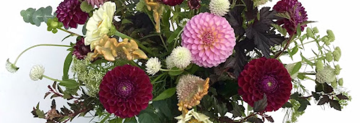 Dreamland Flower Farm