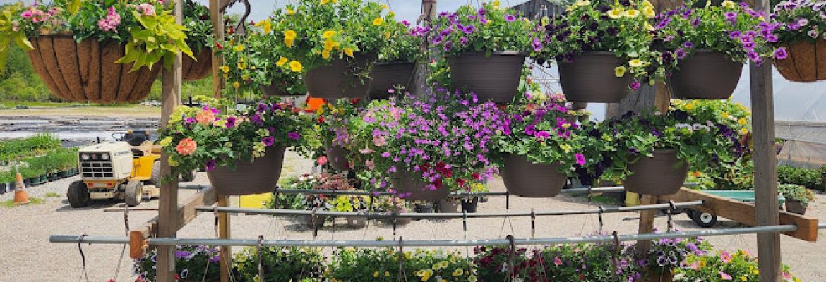 Stonington Gardens