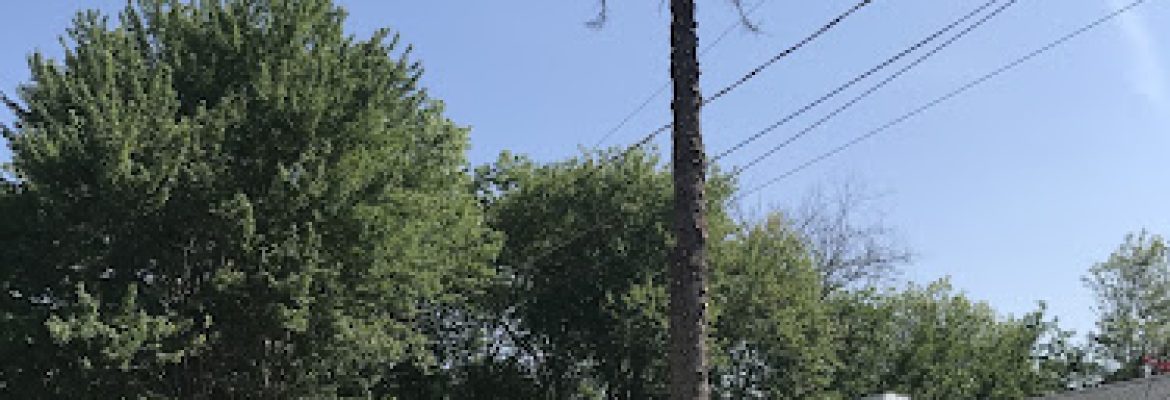Greater Hartford Tree & Landscape