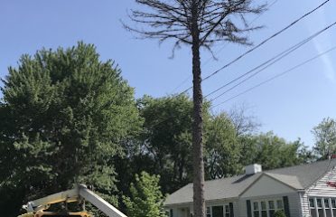 Greater Hartford Tree & Landscape