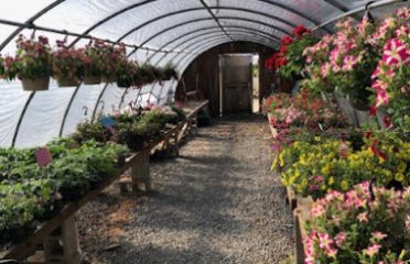 Kozlak’s Nursery