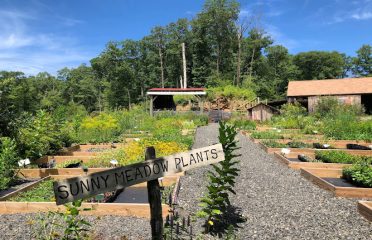 Earth Tones Native Plant Nursery