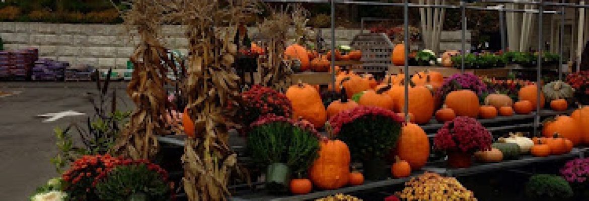 Greggs Garden Center & Landscaping
