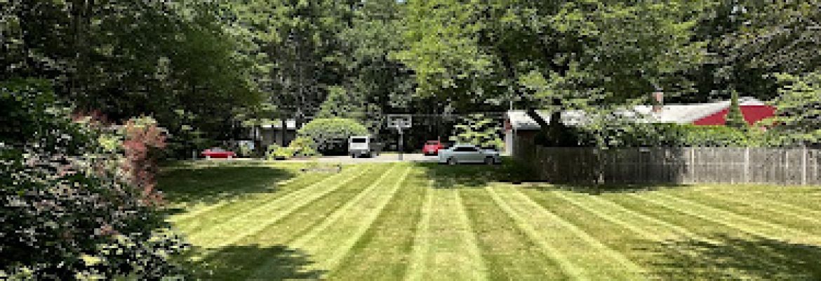 DelScape Lawn Services