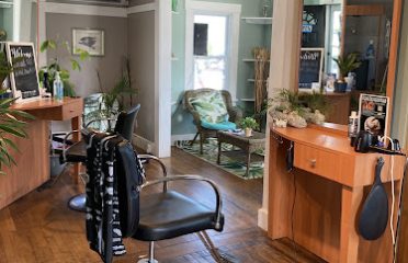 Shoreline Shears Barbershop