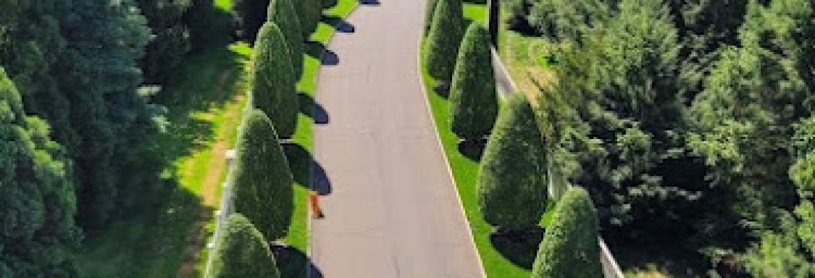 Hutchinson Tree Care