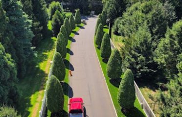 Hutchinson Tree Care