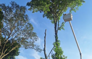 E & Brothers Tree Services LLC