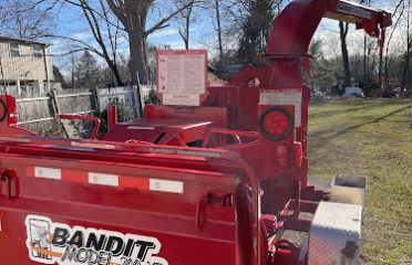 Apollo Contracting Tree Service LLC