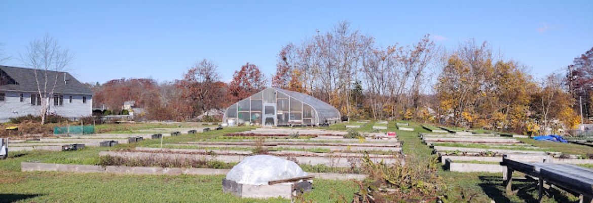 Reservoir Community Farm