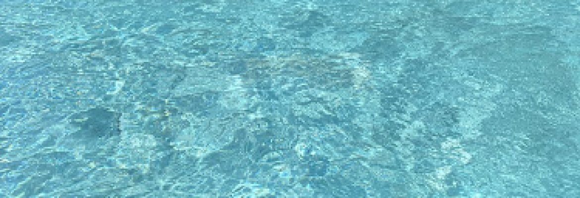 Jimmie’s Pool Water Service