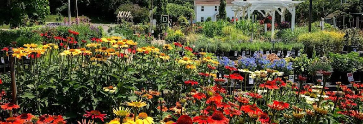 Greenbrier Greenhouse